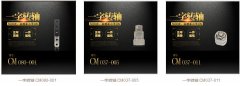 轉軸為什么會出現振動？